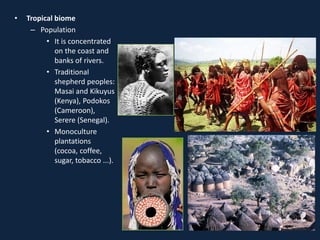 • Tropical biome
– Population
• It is concentrated
on the coast and
banks of rivers.
• Traditional
shepherd peoples:
Masai and Kikuyus
(Kenya), Podokos
(Cameroon),
Serere (Senegal).
• Monoculture
plantations
(cocoa, coffee,
sugar, tobacco ...).
 