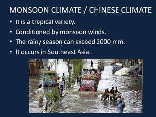 MONSOON CLIMATE / CHINESE CLIMATE
• It is a tropical variety.
• Conditioned by monsoon winds.
• The rainy season can exceed 2000 mm.
• It occurs in Southeast Asia.
 