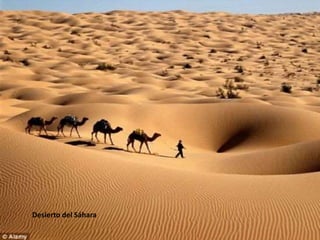 Desierto del Sáhara
 