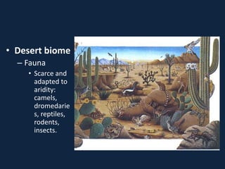 • Desert biome
– Fauna
• Scarce and
adapted to
aridity:
camels,
dromedarie
s, reptiles,
rodents,
insects.
 