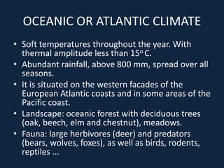 OCEANIC OR ATLANTIC CLIMATE
• Soft temperatures throughout the year. With
thermal amplitude less than 15o C.
• Abundant rainfall, above 800 mm, spread over all
seasons.
• It is situated on the western facades of the
European Atlantic coasts and in some areas of the
Pacific coast.
• Landscape: oceanic forest with deciduous trees
(oak, beech, elm and chestnut), meadows.
• Fauna: large herbivores (deer) and predators
(bears, wolves, foxes), as well as birds, rodents,
reptiles ...
 