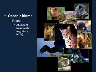 • Oceanic biome
– Fauna
• Abundant
(mammals,
migratory
birds).
 