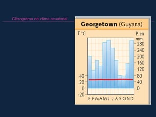 Climograma del clima ecuatorial
 