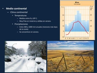 • Medio continental
– Clima continental
• Temperaturas
– Medias entre 0 y 10º C.
– Muy frías en invierno y cálidas en verano.
• Precipitaciones
– Entre 300 y 1000 mm anuales (menores más lejos
de la costa).
– Se concentran en verano.
 
