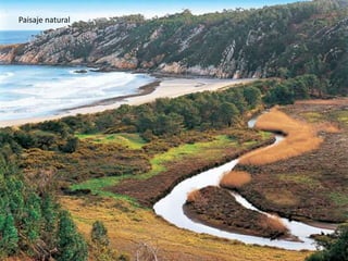 Paisaje natural
 