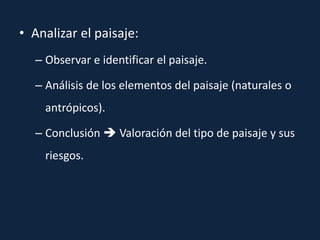 • Analizar el paisaje:
– Observar e identificar el paisaje.
– Análisis de los elementos del paisaje (naturales o
antrópicos).
– Conclusión  Valoración del tipo de paisaje y sus
riesgos.
 