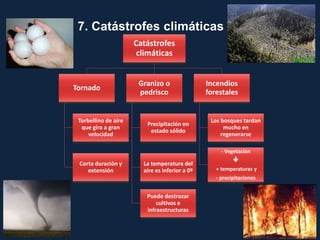 Catástrofes
climáticas
Tornado
Torbellino de aire
que gira a gran
velocidad
Corta duración y
extensión
Granizo o
pedrisco
Precipitación en
estado sólido
La temperatura del
aire es inferior a 0º
Puede destrozar
cultivos e
infraestructuras
Incendios
forestales
Los bosques tardan
mucho en
regenerarse
- Vegetación

+ temperaturas y
- precipitaciones
7. Catástrofes climáticas
 