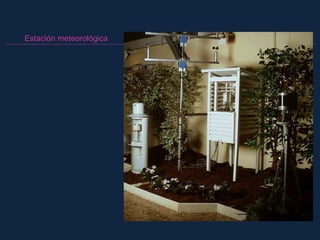 Estación meteorológica
 
