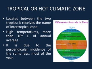TROPICAL OR HOT CLIMATIC ZONE
• Located between the two
tropics: it receives the name
of intertropical zone.
• High temperatures, more
than 18o C of annual
average.
• It is due to the
perpendicular incidence of
the sun's rays, most of the
year.
 