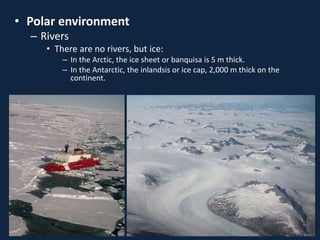 • Polar environment
– Rivers
• There are no rivers, but ice:
– In the Arctic, the ice sheet or banquisa is 5 m thick.
– In the Antarctic, the inlandsis or ice cap, 2,000 m thick on the
continent.
 