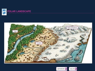 POLAR LANDSCAPE
SALIRSALIRANTERIORANTERIOR
 