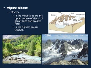 • Alpine biome
– Rivers
• In the mountains are the
upper course of rivers: of
great slope and erosive
force.
• In the highest areas:
glaciers.
 