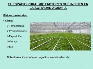 21
21
EL ESPACIO RURAL (II): FACTORES QUE INCIDEN EN
LA ACTIVIDAD AGRARIA
Físicos o naturales:
 Clima:
Temperatura.
Precipitaciones.
Exposición.
Vientos.
Etc.
Soluciones: invernaderos, regadíos, empalizadas, etc.
 