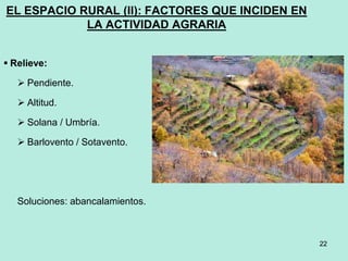 22
22
EL ESPACIO RURAL (II): FACTORES QUE INCIDEN EN
LA ACTIVIDAD AGRARIA
 Relieve:
 Pendiente.
 Altitud.
 Solana / Umbría.
 Barlovento / Sotavento.
Soluciones: abancalamientos.
 