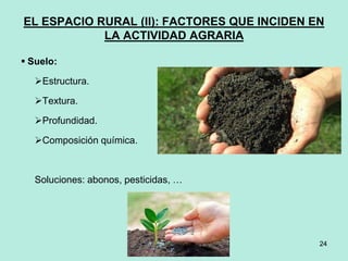 24
24
EL ESPACIO RURAL (II): FACTORES QUE INCIDEN EN
LA ACTIVIDAD AGRARIA
 Suelo:
Estructura.
Textura.
Profundidad.
Composición química.
Soluciones: abonos, pesticidas, …
 