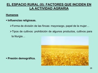 26
26
EL ESPACIO RURAL (II): FACTORES QUE INCIDEN EN
LA ACTIVIDAD AGRARIA
Humanos
 Influencias religiosas.
Forma de división de las fincas: mayorazgo, papel de la mujer…
Tipos de cultivos: prohibición de algunos productos, cultivos para
la liturgia…
 Presión demográfica.
 