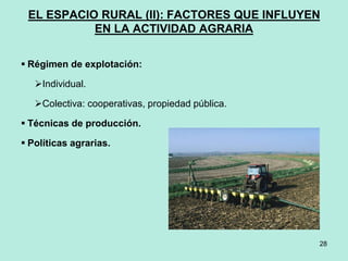 28
EL ESPACIO RURAL (II): FACTORES QUE INFLUYEN
EN LA ACTIVIDAD AGRARIA
 Régimen de explotación:
Individual.
Colectiva: cooperativas, propiedad pública.
 Técnicas de producción.
 Políticas agrarias.
 