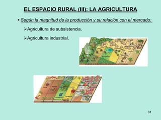 31
31
EL ESPACIO RURAL (III): LA AGRICULTURA
 Según la magnitud de la producción y su relación con el mercado:
Agricultura de subsistencia.
Agricultura industrial.
 