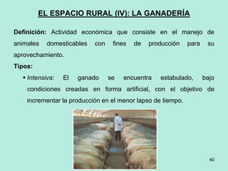 40
40
EL ESPACIO RURAL (IV): LA GANADERÍA
Definición: Actividad económica que consiste en el manejo de
animales domesticables con fines de producción para su
aprovechamiento.
Tipos:
 Intensiva: El ganado se encuentra estabulado, bajo
condiciones creadas en forma artificial, con el objetivo de
incrementar la producción en el menor lapso de tiempo.
 