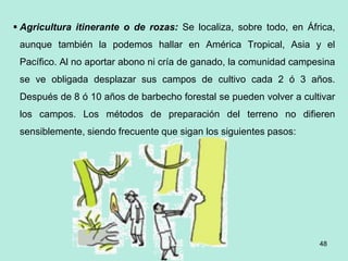 48
 Agricultura itinerante o de rozas: Se localiza, sobre todo, en África,
aunque también la podemos hallar en América Tropical, Asia y el
Pacífico. Al no aportar abono ni cría de ganado, la comunidad campesina
se ve obligada desplazar sus campos de cultivo cada 2 ó 3 años.
Después de 8 ó 10 años de barbecho forestal se pueden volver a cultivar
los campos. Los métodos de preparación del terreno no difieren
sensiblemente, siendo frecuente que sigan los siguientes pasos:
 