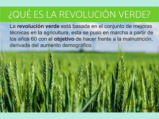 La revolución verde está basada en el conjunto de mejoras
técnicas en la agricultura, esta se puso en marcha a partir de
los años 60 con el objetivo de hacer frente a la malnutrición,
derivada del aumento demográfico.
 