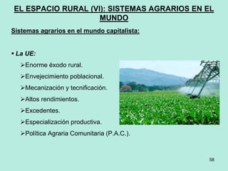 58
EL ESPACIO RURAL (VI): SISTEMAS AGRARIOS EN EL
MUNDO
Sistemas agrarios en el mundo capitalista:
 La UE:
Enorme éxodo rural.
Envejecimiento poblacional.
Mecanización y tecnificación.
Altos rendimientos.
Excedentes.
Especialización productiva.
Política Agraria Comunitaria (P.A.C.).
 