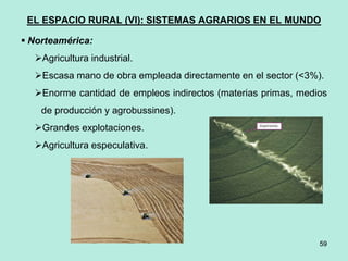 59
59
EL ESPACIO RURAL (VI): SISTEMAS AGRARIOS EN EL MUNDO
 Norteamérica:
Agricultura industrial.
Escasa mano de obra empleada directamente en el sector (<3%).
Enorme cantidad de empleos indirectos (materias primas, medios
de producción y agrobussines).
Grandes explotaciones.
Agricultura especulativa.
 