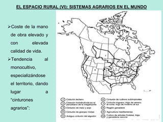60
60
EL ESPACIO RURAL (VI): SISTEMAS AGRARIOS EN EL MUNDO
Coste de la mano
de obra elevado y
con elevada
calidad de vida.
Tendencia al
monocultivo,
especializándose
el territorio, dando
lugar a
“cinturones
agrarios”:
 