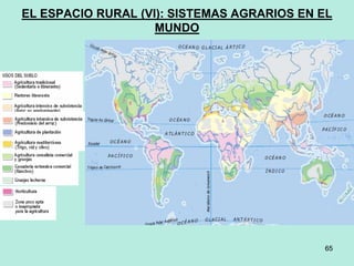 65
65
EL ESPACIO RURAL (VI): SISTEMAS AGRARIOS EN EL
MUNDO
 