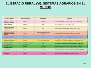 66
66
EL ESPACIO RURAL (VI): SISTEMAS AGRARIOS EN EL
MUNDO
 