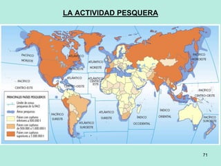 71
71
LA ACTIVIDAD PESQUERA
 