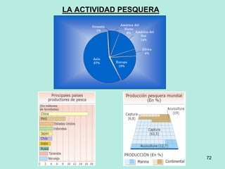 72
72
LA ACTIVIDAD PESQUERA
Europa
18%
Asia
57%
Oceanía
1%
América del
Norte
6% América del
Sur
14%
África
4%
 