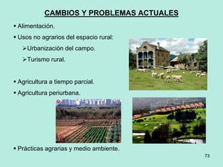 73
73
CAMBIOS Y PROBLEMAS ACTUALES
 Alimentación.
 Usos no agrarios del espacio rural:
Urbanización del campo.
Turismo rural.
 Agricultura a tiempo parcial.
 Agricultura periurbana.
 Prácticas agrarias y medio ambiente.
 