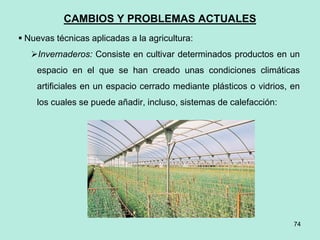 74
74
CAMBIOS Y PROBLEMAS ACTUALES
 Nuevas técnicas aplicadas a la agricultura:
Invernaderos: Consiste en cultivar determinados productos en un
espacio en el que se han creado unas condiciones climáticas
artificiales en un espacio cerrado mediante plásticos o vidrios, en
los cuales se puede añadir, incluso, sistemas de calefacción:
 