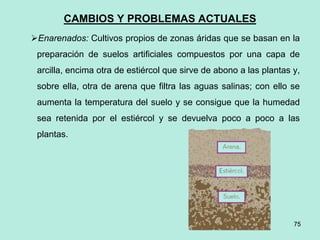 75
75
CAMBIOS Y PROBLEMAS ACTUALES
Enarenados: Cultivos propios de zonas áridas que se basan en la
preparación de suelos artificiales compuestos por una capa de
arcilla, encima otra de estiércol que sirve de abono a las plantas y,
sobre ella, otra de arena que filtra las aguas salinas; con ello se
aumenta la temperatura del suelo y se consigue que la humedad
sea retenida por el estiércol y se devuelva poco a poco a las
plantas.
 
