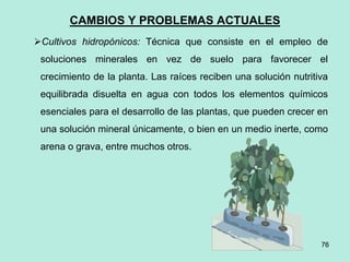 76
76
CAMBIOS Y PROBLEMAS ACTUALES
Cultivos hidropónicos: Técnica que consiste en el empleo de
soluciones minerales en vez de suelo para favorecer el
crecimiento de la planta. Las raíces reciben una solución nutritiva
equilibrada disuelta en agua con todos los elementos químicos
esenciales para el desarrollo de las plantas, que pueden crecer en
una solución mineral únicamente, o bien en un medio inerte, como
arena o grava, entre muchos otros.
 