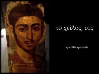 τὸ χεῖλος, εος


   queilitis, queilosis
 