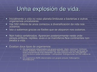 Unha explosión de vida. Inicialmente a vida no noso planeta limitouse a bacterias e outros organismos unicelulares. Hai 550 millóns de anos comezou a diversificación da vida nos océanos.  Isto o sabemos grazas os fósiles que se atoparon nos océanos. Non había vertebrados. Aparecen posteriormente neste orde: peixes,anfibios, réptiles, aves e os mamíferos.Nos continentes non existia a vida.  Existian dous tipos de organismos: Os organismos relacionados cos grupos actuais : algas, esponxas, medusas, corais, anélidos, moluscos e artrópodos. Son especies “actuais” ainda que as súas características eran diferentes. Os máis comúns eran os TRILOBITES (cuncha dura e patas articuladas = artrópodos). Extinguíronse hai 250 millóns de anos. Os organismos NON relacionados con grupos actuais: Hallucigenia, Anomalocaris… 