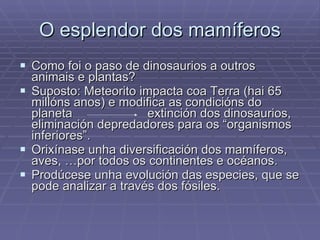 O esplendor dos mamíferos Como foi o paso de dinosaurios a outros animais e plantas? Suposto: Meteorito impacta coa Terra (hai 65 millóns anos) e modifica as condicións do planeta  extinción dos dinosaurios, eliminación depredadores para os “organismos inferiores”. Orixínase unha diversificación dos mamíferos, aves, …por todos os continentes e océanos. Prodúcese unha evolución das especies, que se pode analizar a través dos fósiles. 