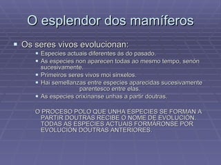 O esplendor dos mamíferos Os seres vivos evolucionan: Especies actuais diferentes ás do pasado. As especies non aparecen todas ao mesmo tempo, senón sucesivamente. Primeiros seres vivos moi sinxelos. Hai semellanzas entre especies aparecidas sucesivamente  parentesco entre elas. As especies orixínanse unhas a partir doutras. O PROCESO POLO QUE UNHA ESPECIES SE FORMAN A PARTIR DOUTRAS RECIBE O NOME DE EVOLUCIÓN. TODAS AS ESPECIES ACTUAIS FORMÁRONSE POR EVOLUCIÓN DOUTRAS ANTERIORES. 