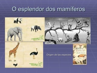 O esplendor dos mamíferos Origen de las especies 