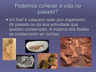 Podemos coñecer a vida no pasado? Un fósil é calquera resto dun organismo do pasado ou da súa actividade que quedou conservado. A maioría dos fósiles se conservarón en rochas.  