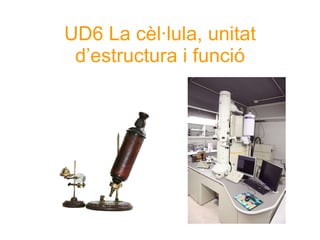 UD6 La cèl·lula, unitat d’estructura i funció 