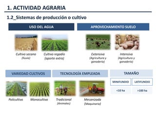 paisajes-agrarios-tema-6-pptx