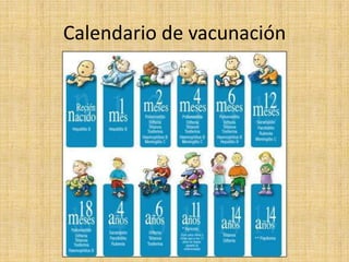 Calendario de vacunación
 