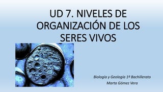 UD 7. NIVELES DE
ORGANIZACIÓN DE LOS
SERES VIVOS
Biología y Geología 1º Bachillerato
Marta Gómez Vera
 