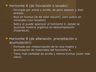    Horizonte A (de lixiviación o lavado):
    – Formado por arena y arcilla, de poco espesor y bien
      aireado.
    – Rico en humus (le da color oscuro), pero pobre en
      minerales (son lavados).
    – Sobre él puede aparecer el horizonte 0, donde se
      acumula materia orgánica en descomposición
      (hojarasca).

   Horizonte B (de alteración, precipitación o
    acumulación):
    – Formado por meteorización de la roca madre y
      acumulación de materiales del horizonte A.
    – Tiene más cantidad de arcilla y menos humus (color más
      claro).
 