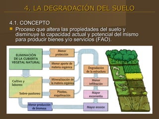 4. LA DEGRADACIÓN DEL SUELO

4.1. CONCEPTO
 Proceso que altera las propiedades del suelo y
   disminuye la capacidad actual y potencial del mismo
   para producir bienes y/o servicios (FAO).
 