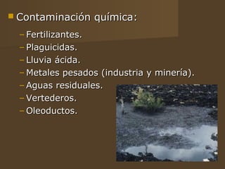  Contaminación    química:
  – Fertilizantes.
  – Plaguicidas.
  – Lluvia ácida.
  – Metales pesados (industria y minería).
  – Aguas residuales.
  – Vertederos.
  – Oleoductos.
 