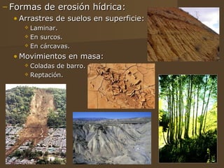 – Formas de erosión hídrica:
  • Arrastres de suelos en superficie:
      Laminar.
      En surcos.

      En cárcavas.

  • Movimientos en masa:
      Coladas de barro.
      Reptación.
 